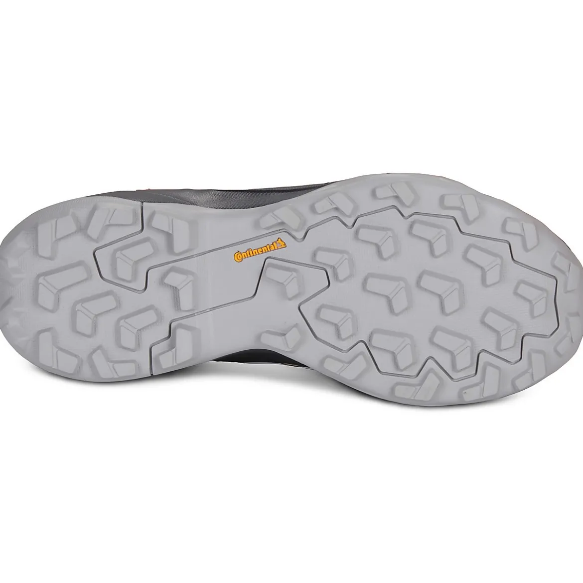 adidas TERREX TERREX SKYCHASER AX5