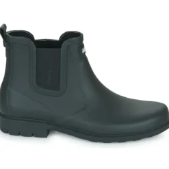 Aigle CARVILLE