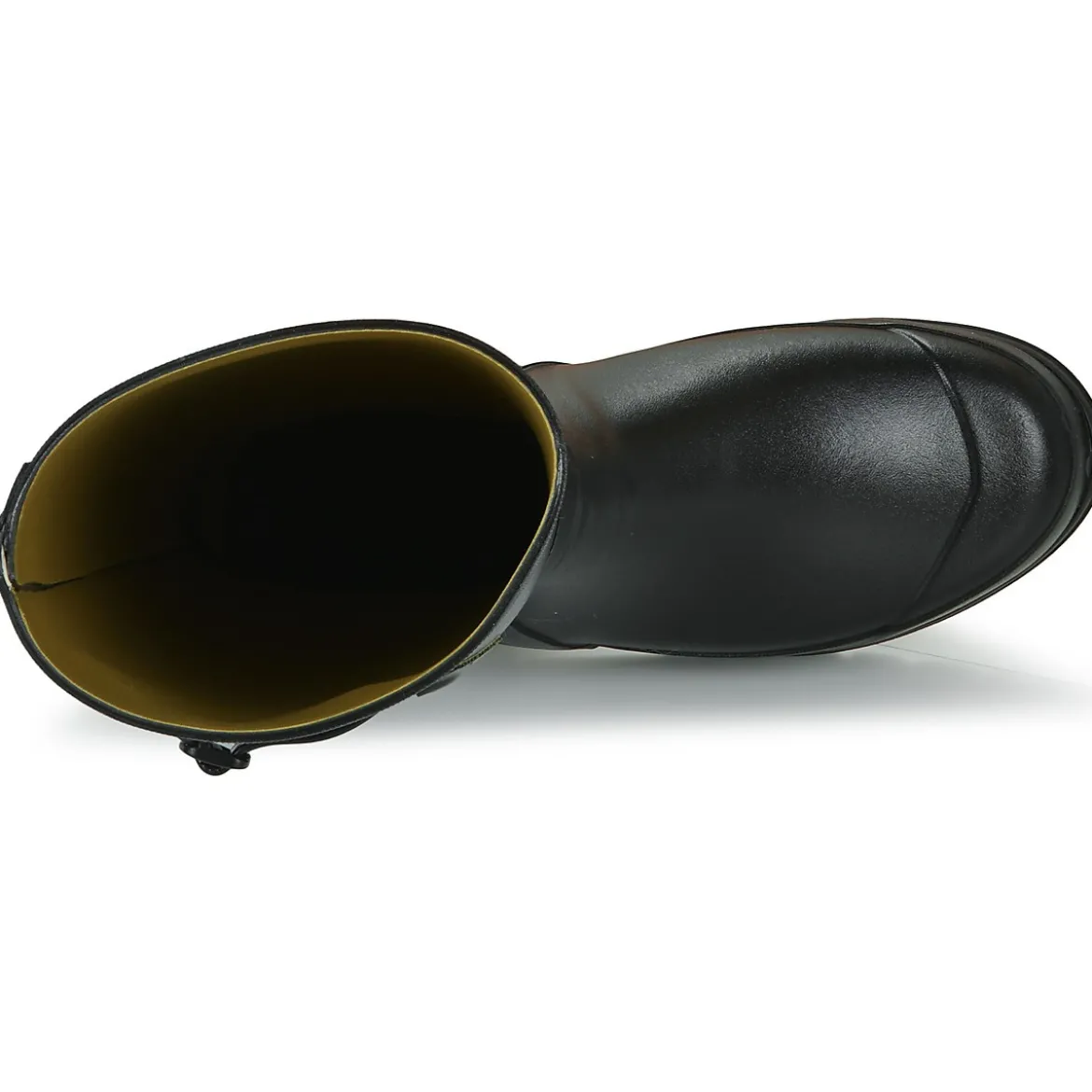 Aigle Cessac