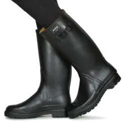 Aigle Cessac