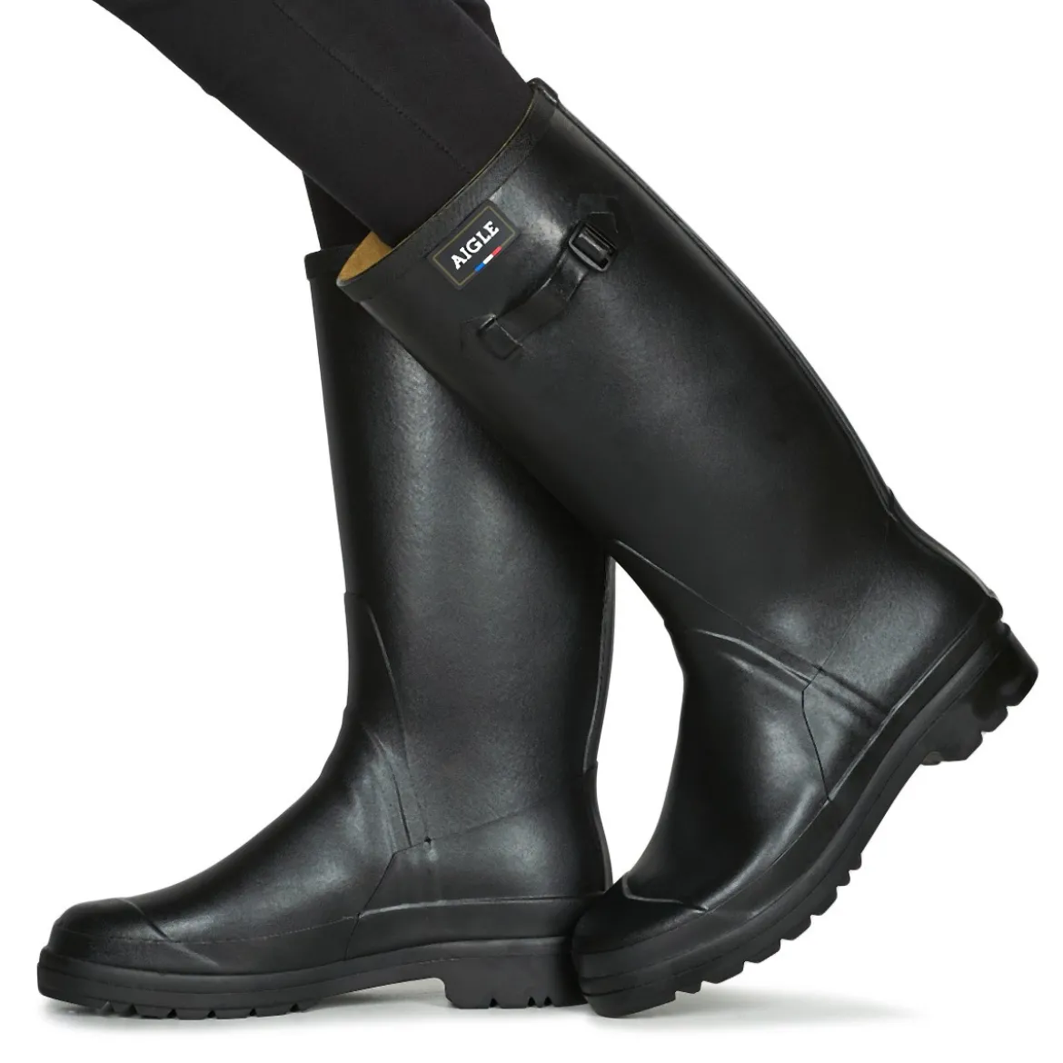 Aigle Cessac