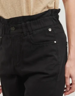 Chinos / Gulerodsbukser Freeman T.Porter