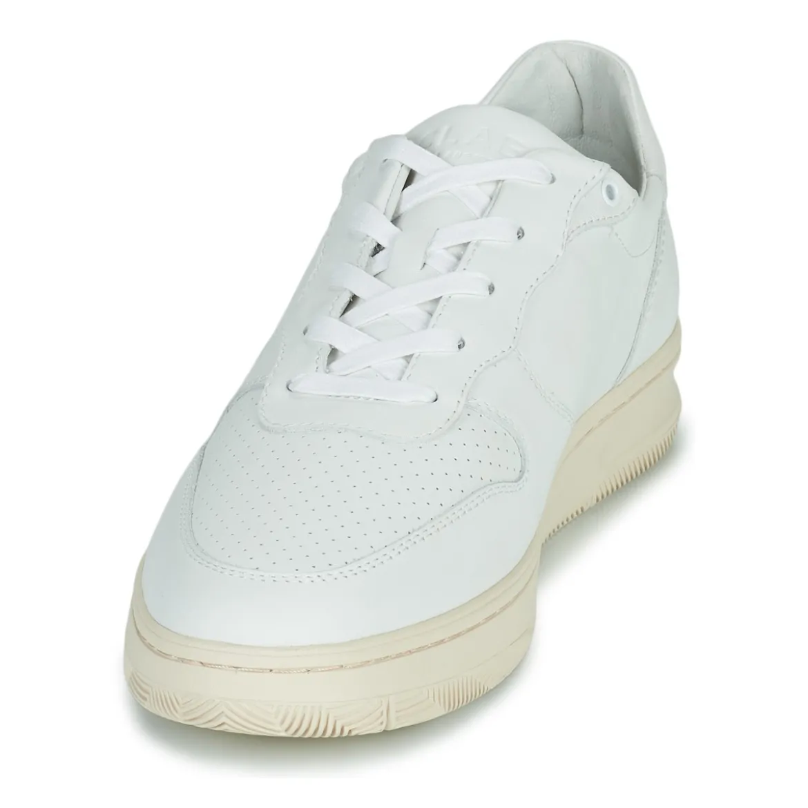 Clae MALONE