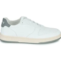 Clae MALONE