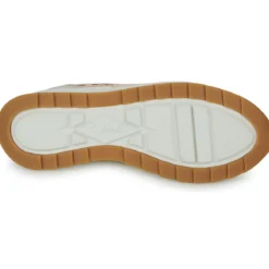 Clarks dashlite