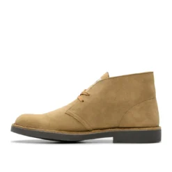 Clarks desert
