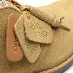 Clarks desert