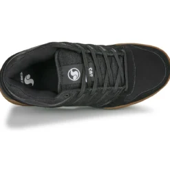 DVS Tycho