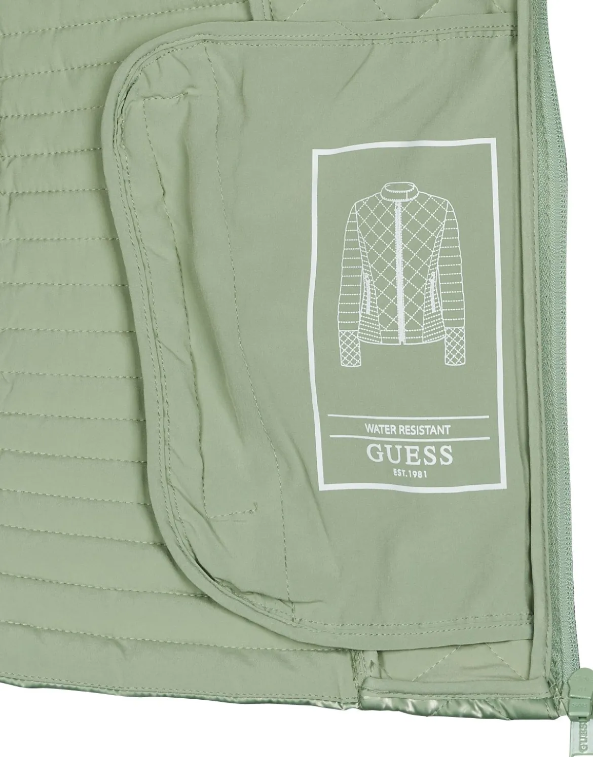 Dynejakker Guess