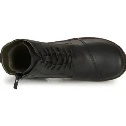 El Naturalista YGGDRASIL
