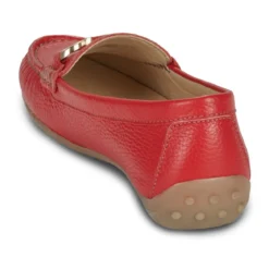 Fluchos bruni