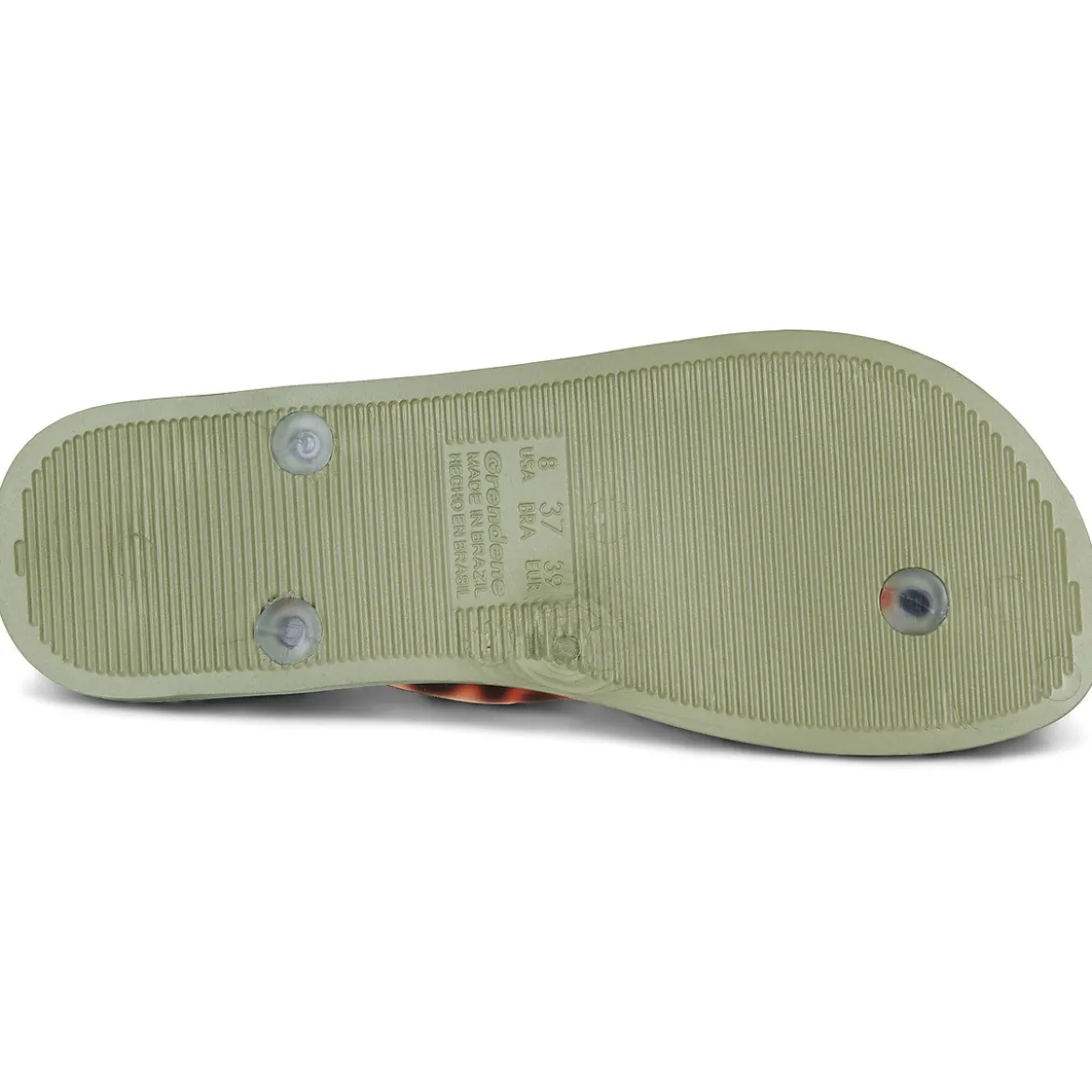 Ipanema anatomic