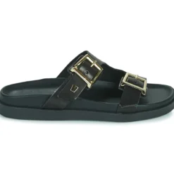 JB Martin AUDACE