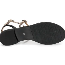 JB Martin GRIOTTES