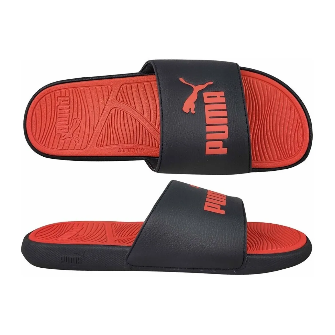 Klipklapper Puma