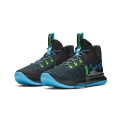Nike Lebron Witness V