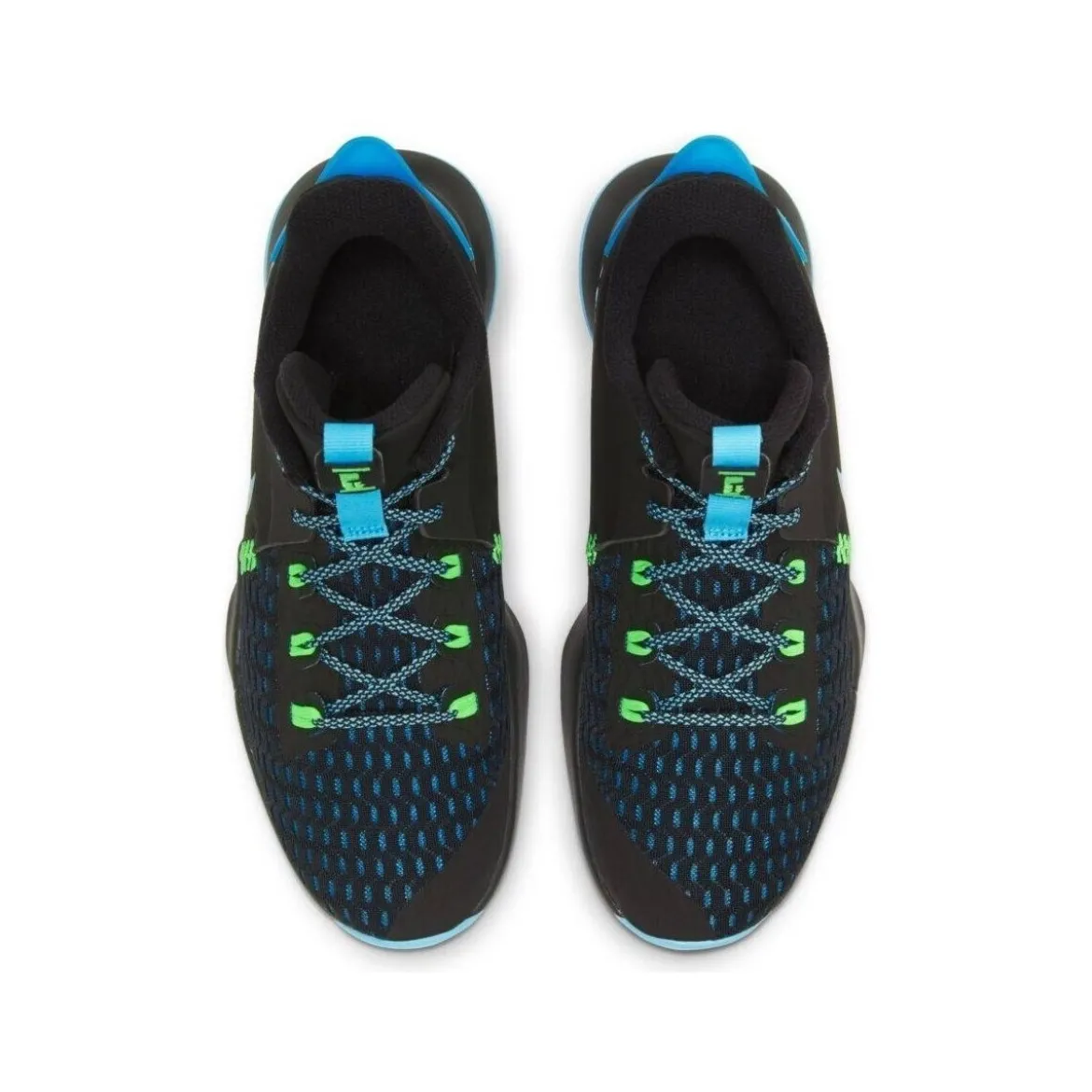 Nike Lebron Witness V