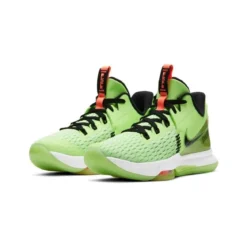 Nike Lebron Witness V