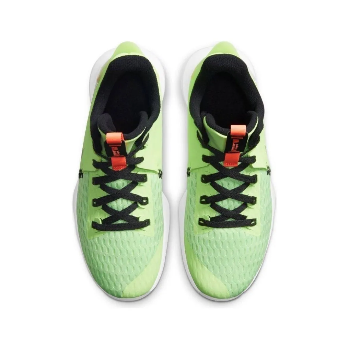 Nike Lebron Witness V