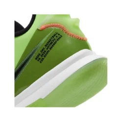 Nike Lebron Witness V