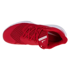 Nike Zoom Hyperspeed Court