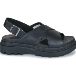 Palladium Pallacruise