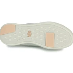 Palladium PALLANOVA LTH