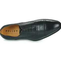 Pellet ALEX