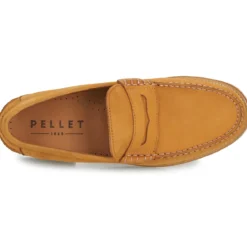 Pellet BASILE