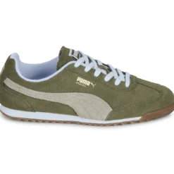 Puma ARIZONA