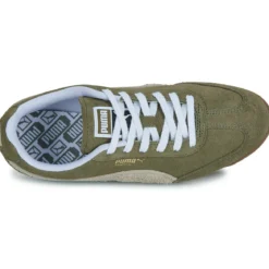 Puma ARIZONA