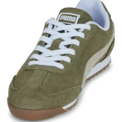 Puma ARIZONA
