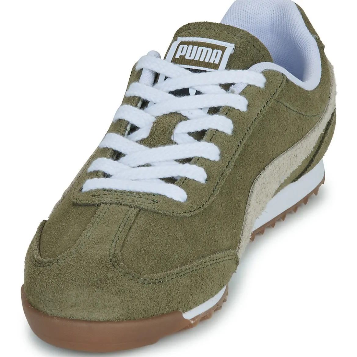 Puma ARIZONA