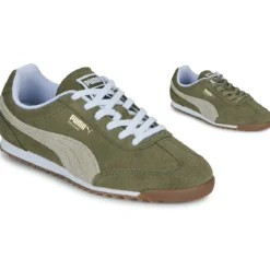 Puma ARIZONA