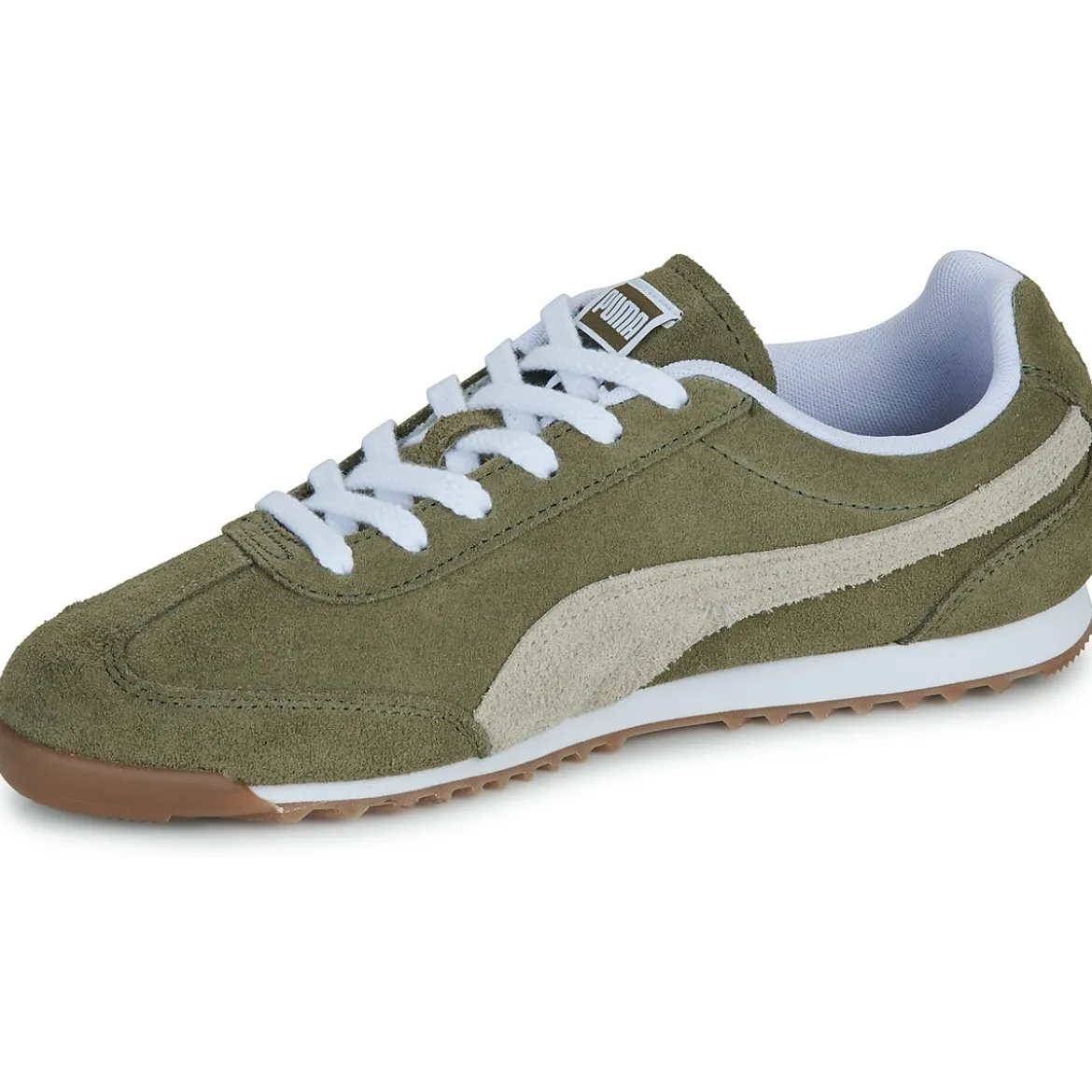 Puma ARIZONA