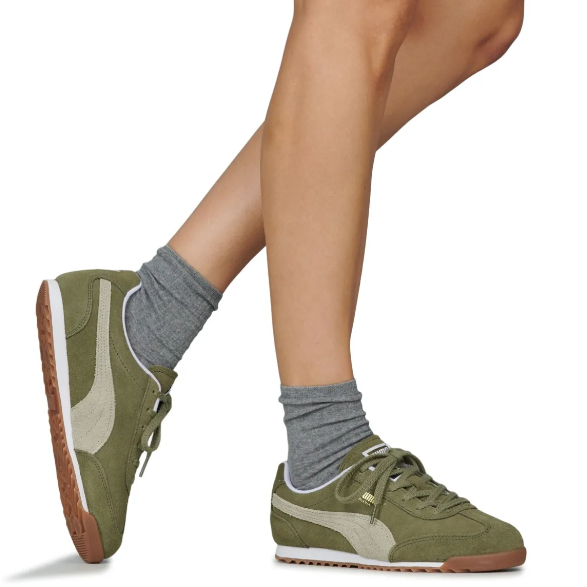 Puma ARIZONA