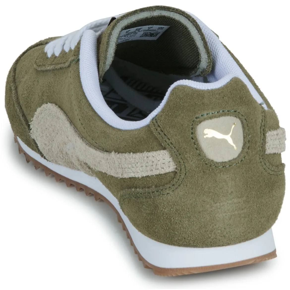 Puma ARIZONA
