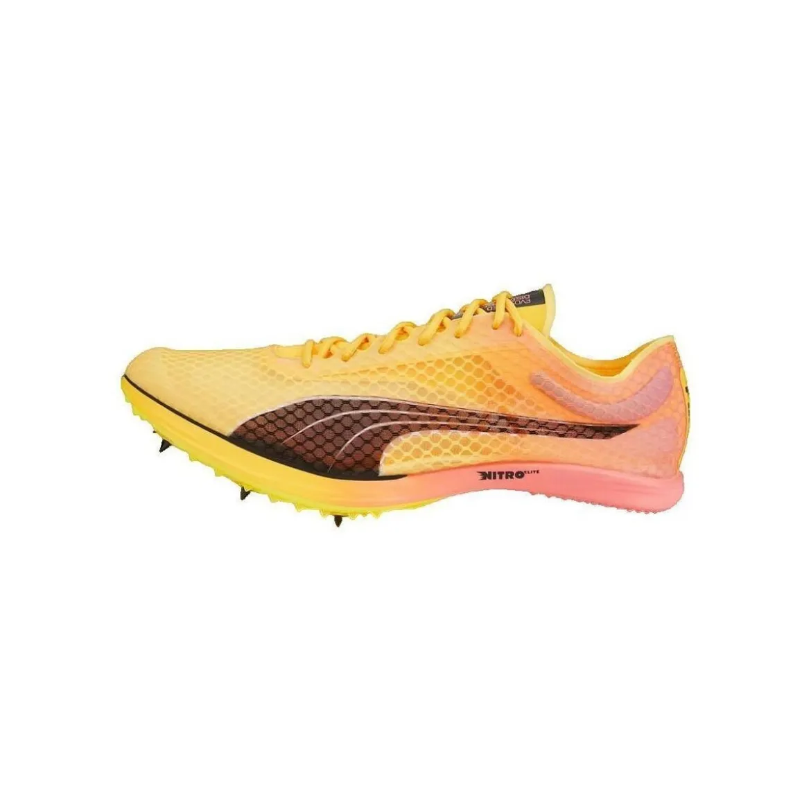 Puma EvoSpeed