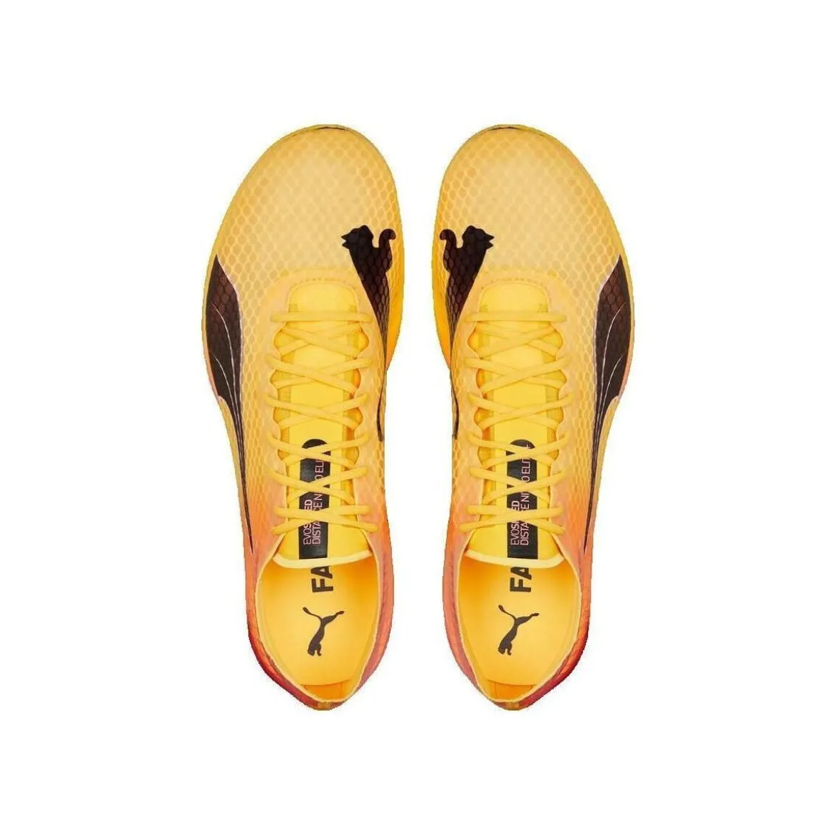 Puma EvoSpeed