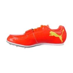 Puma EvoSpeed