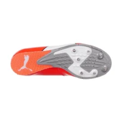 Puma EvoSpeed
