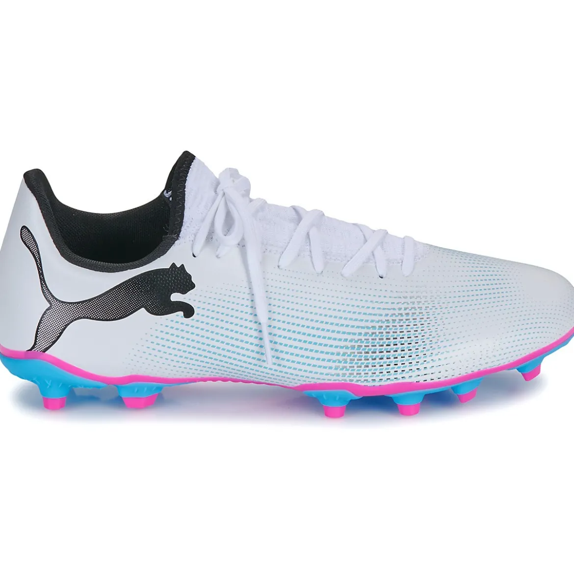 Puma future