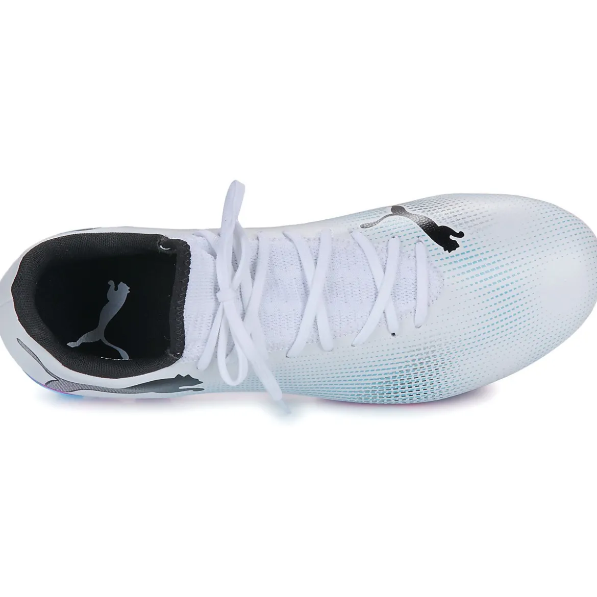 Puma future