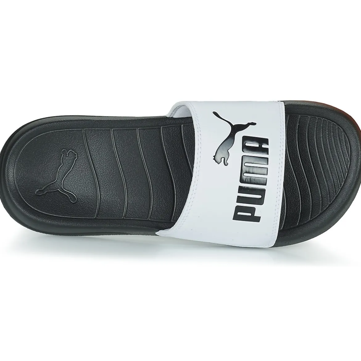 Puma Popcat