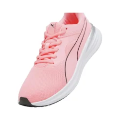 Puma Transport