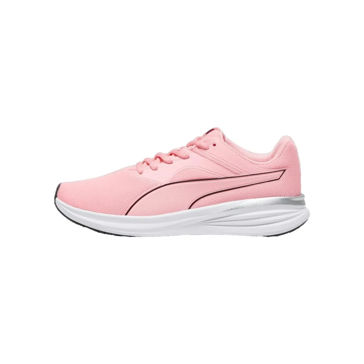 Puma Transport
