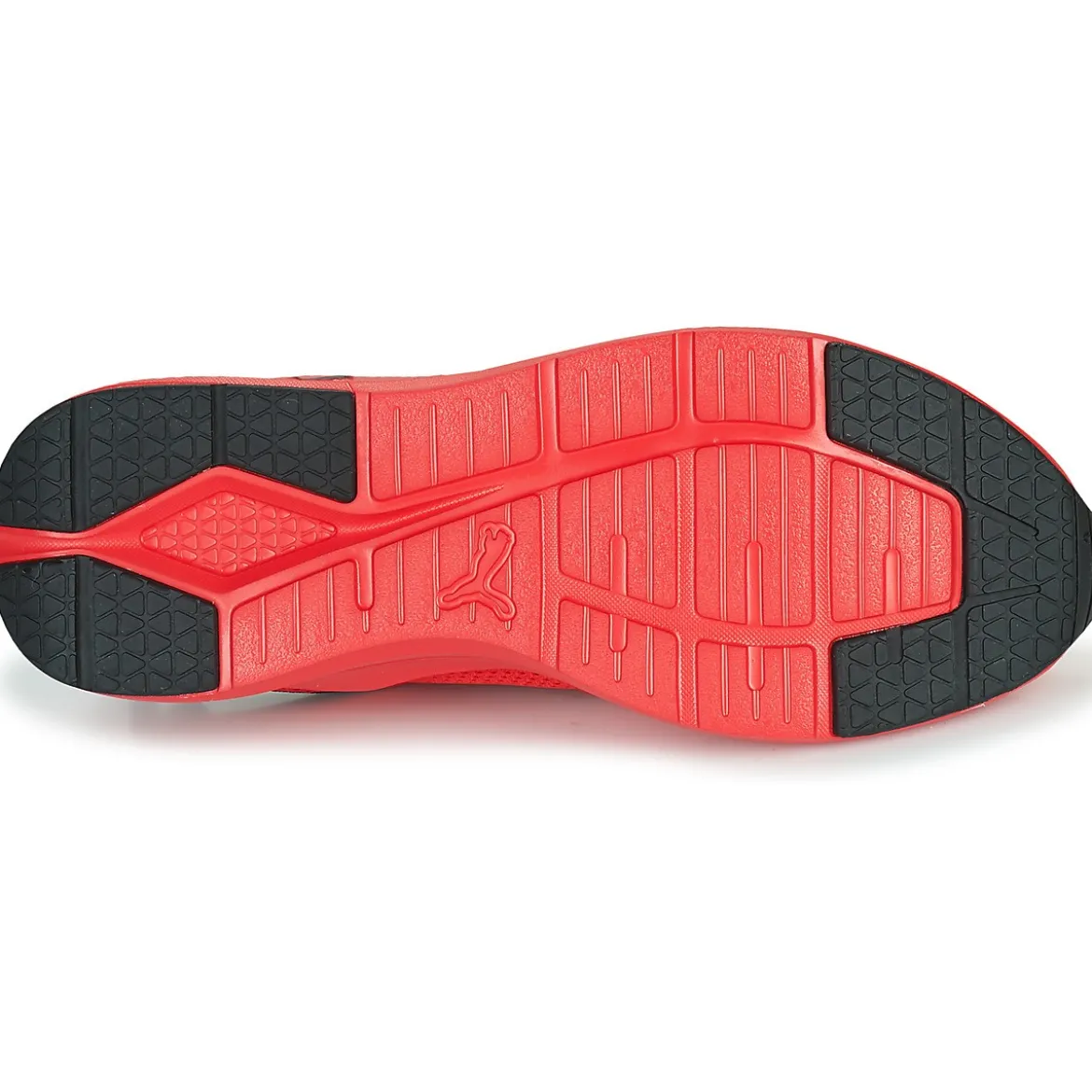 Puma Wired
