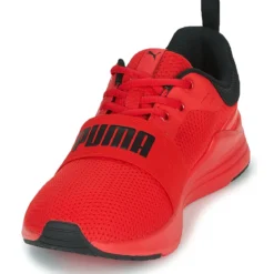 Puma Wired