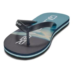 Quiksilver MOLOKAI