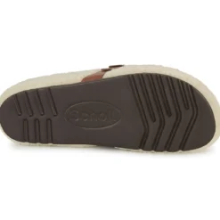 Scholl CHARLOTTE